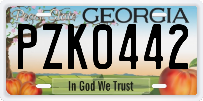 GA license plate PZK0442