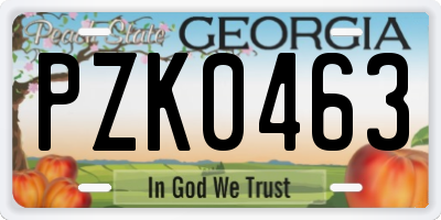 GA license plate PZK0463