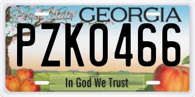 GA license plate PZK0466