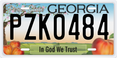 GA license plate PZK0484