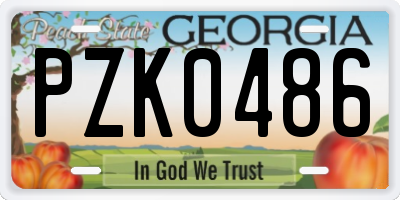 GA license plate PZK0486