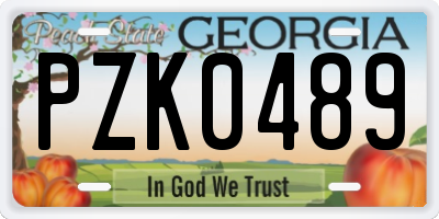 GA license plate PZK0489