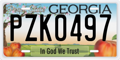 GA license plate PZK0497