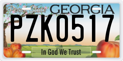 GA license plate PZK0517