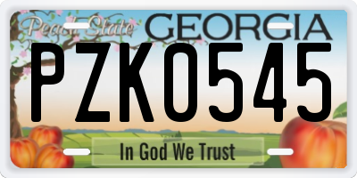 GA license plate PZK0545