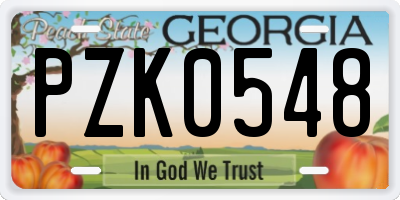 GA license plate PZK0548