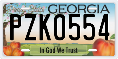 GA license plate PZK0554