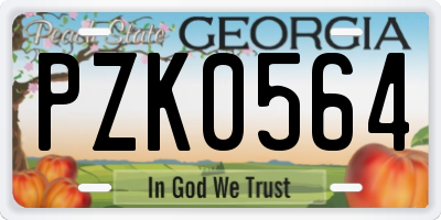 GA license plate PZK0564