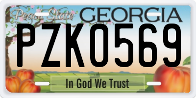 GA license plate PZK0569