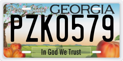 GA license plate PZK0579