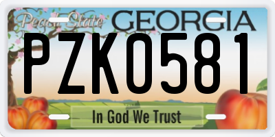 GA license plate PZK0581