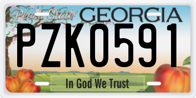 GA license plate PZK0591