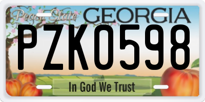 GA license plate PZK0598