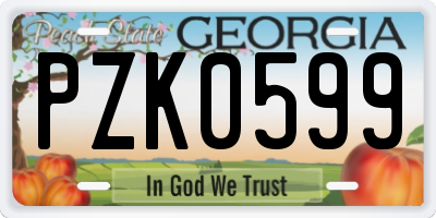 GA license plate PZK0599