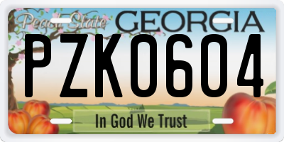 GA license plate PZK0604