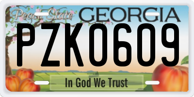GA license plate PZK0609