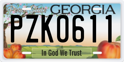 GA license plate PZK0611
