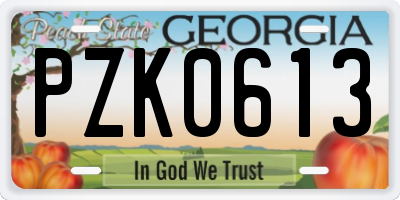GA license plate PZK0613