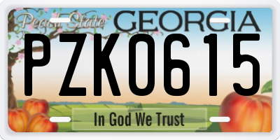 GA license plate PZK0615