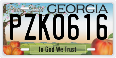 GA license plate PZK0616