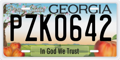 GA license plate PZK0642