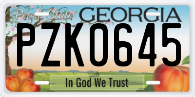 GA license plate PZK0645