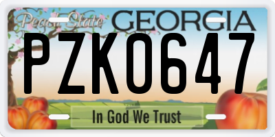 GA license plate PZK0647