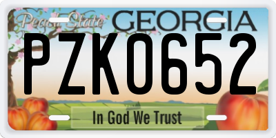 GA license plate PZK0652