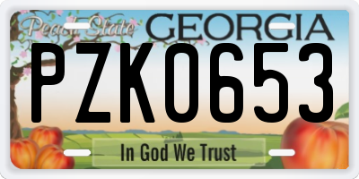 GA license plate PZK0653