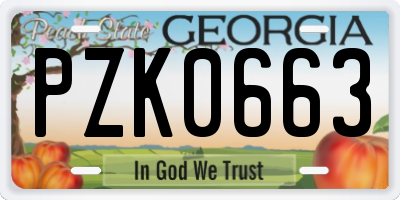 GA license plate PZK0663