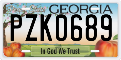 GA license plate PZK0689