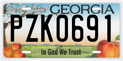 GA license plate PZK0691