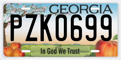 GA license plate PZK0699