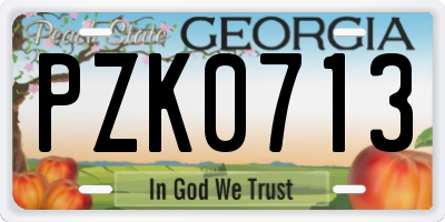 GA license plate PZK0713
