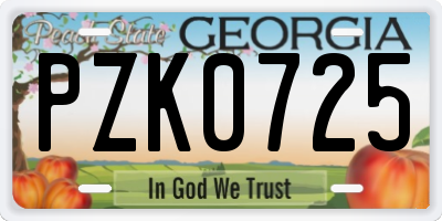 GA license plate PZK0725