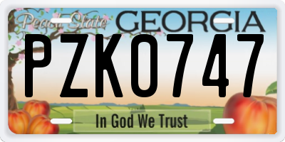 GA license plate PZK0747