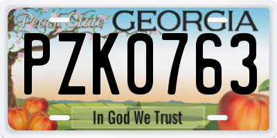 GA license plate PZK0763