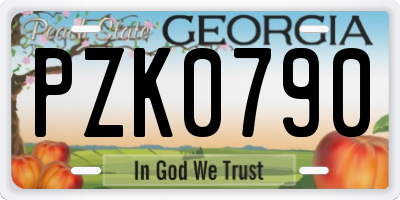 GA license plate PZK0790