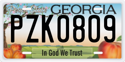 GA license plate PZK0809