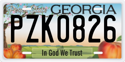 GA license plate PZK0826