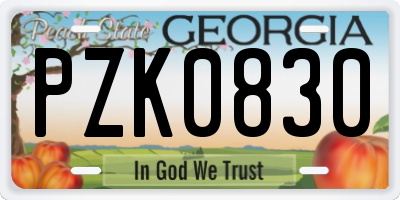 GA license plate PZK0830