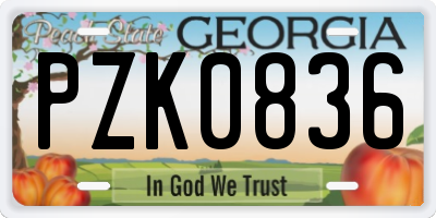 GA license plate PZK0836