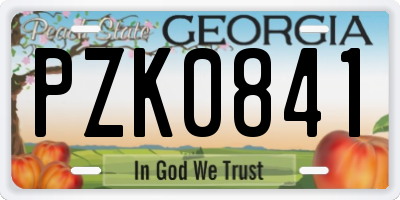 GA license plate PZK0841