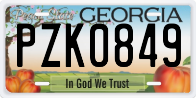 GA license plate PZK0849