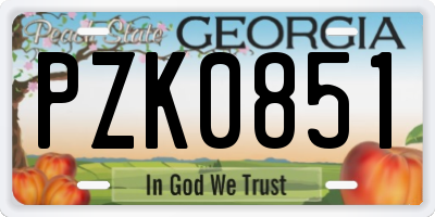 GA license plate PZK0851