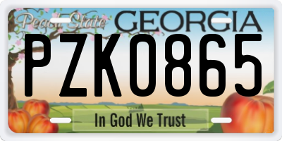 GA license plate PZK0865