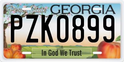 GA license plate PZK0899