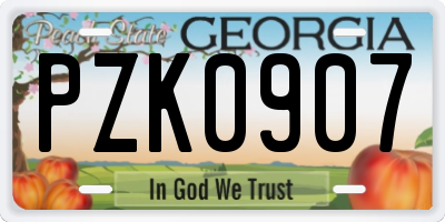 GA license plate PZK0907