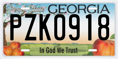 GA license plate PZK0918