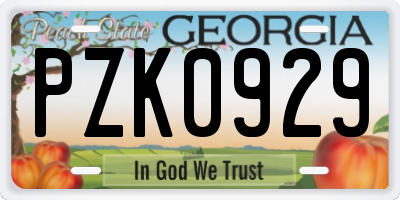 GA license plate PZK0929